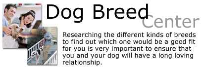 Dog Breed Center
