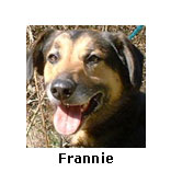 Frannie